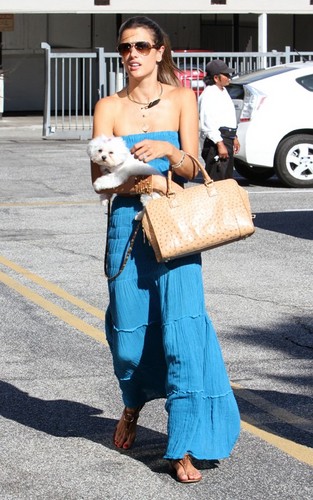  Alessandra Ambrosio was spotted in Los Angeles yesterday afternoon (August 25).