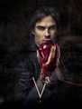 Damon Salvatore Promo Picture - the-vampire-diaries photo