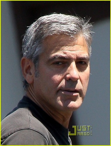  George Clooney: 'Descendants' Reviews Are In!
