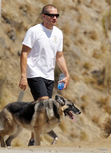 Jake Gyllenhaal Hiking With A Friend At Runyon Canyon In Hollywood
