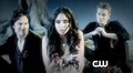 The Vampire Diaries Season 3 Promo - Appetites - the-vampire-diaries-tv-show screencap