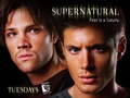 supernatural - sam and dean wallpaper