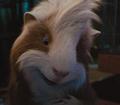 guinea-pigs - G- Force Screencaps screencap