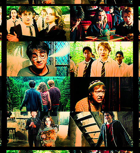 Harry, Ron and Hermione ♥