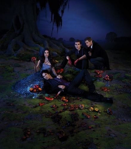  The Vampire Diaries Season 3 Promotional Poster
