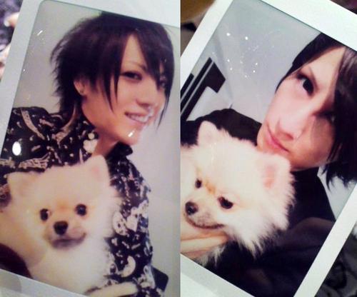  alice nine pictures/images
