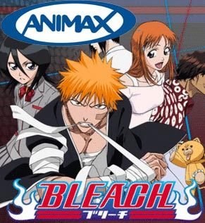 Animax Bleach