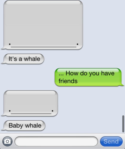  it's a 鲸, 鲸鱼