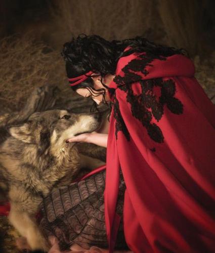 Amy and the wolf