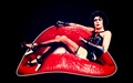 the-rocky-horror-picture-show - Dr Frank-N-Furter wallpaper