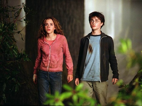 Harry and Hermione kertas dinding