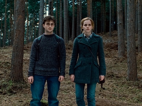 Harry and Hermione Wallpaper