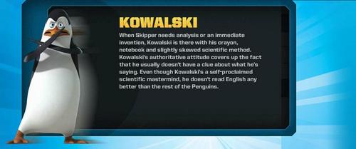  Kowalski's profaili
