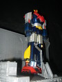 My very own Voltes V Soul of Chogokin - toy-collecting photo