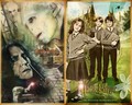 severus-snape - Severus Snape wallpapers wallpaper