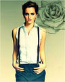 Emma Watson - Rose - emma-watson fan art