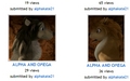 alpha-and-omega - Funny pic formation! screencap
