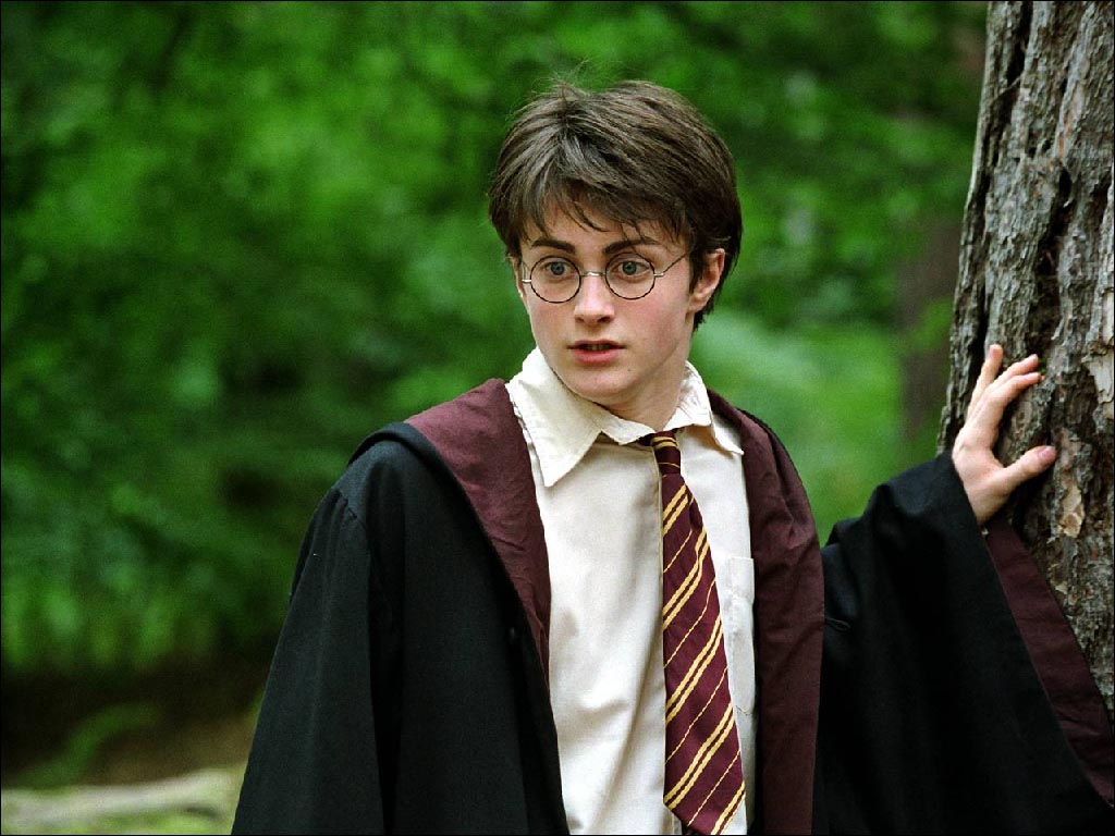 Harry Potter James Potter 4727