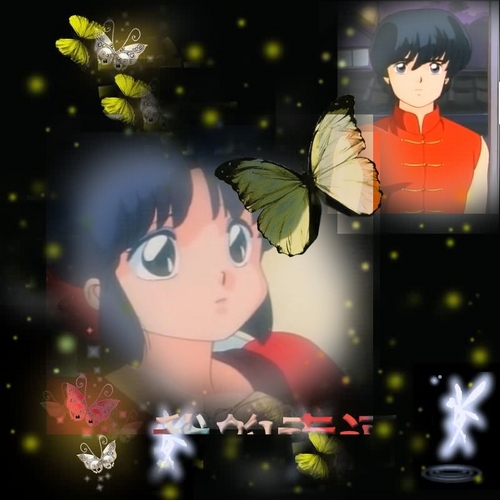 Ranma and Akane_ Path of Love