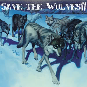 Save the wolves