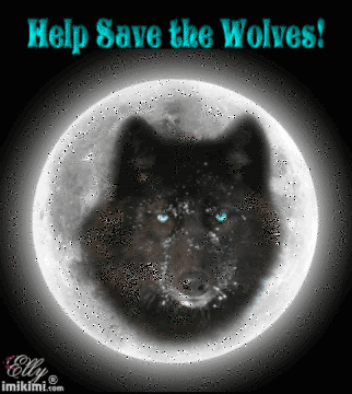 Save the wolves