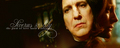 Snape & Lily sad love - severus-snape-and-lily-evans fan art