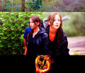 The Hunger Games Fanart - the-hunger-games fan art