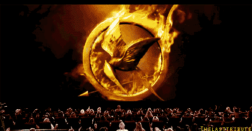 The Hunger Games Fanart