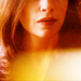 The good wife; - the-good-wife icon