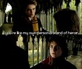 quotes - harry-potter photo