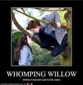 If they had cast the whomping willow - harry-potter-vs-twilight photo