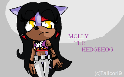  Molly the Hedgehog