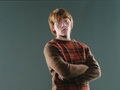 Ronald Weasley Wallpaper - ronald-weasley wallpaper