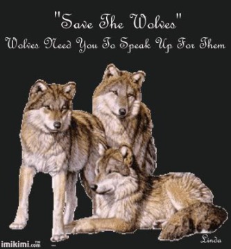  Save the serigala
