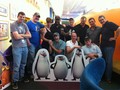 The Last PoM Recording Session :-( - penguins-of-madagascar photo