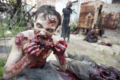 The Walking Dead ! <3 - the-walking-dead photo