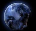 Wolf In Moon - wolves photo