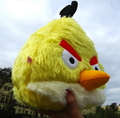 yellow angry bird - angry-birds fan art