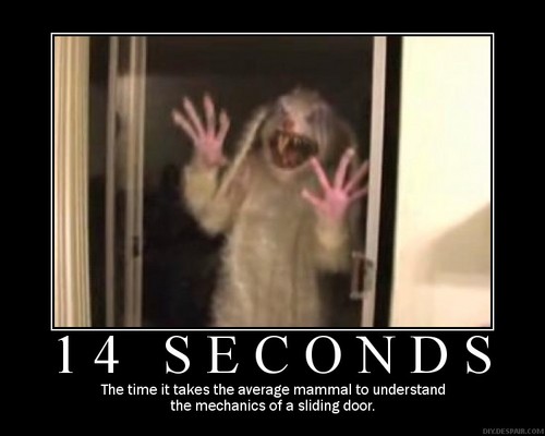  14 秒