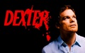 dexter - Dexter wallpaper