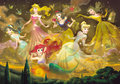Disney Princess Paradise - disney-princess photo