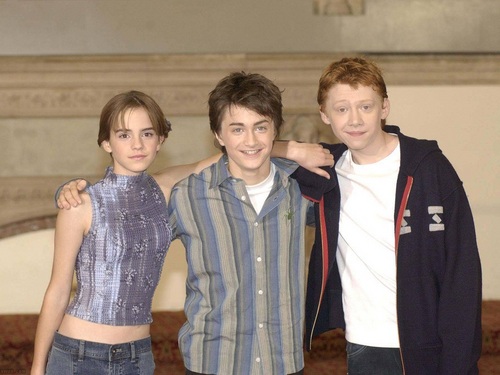  Harry, Ron and Hermione দেওয়ালপত্র
