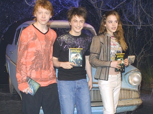  Harry, Ron and Hermione 壁纸