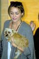 Miley Cyrus ~ 27. September - Arriving at Nashville's Airport - miley-cyrus photo