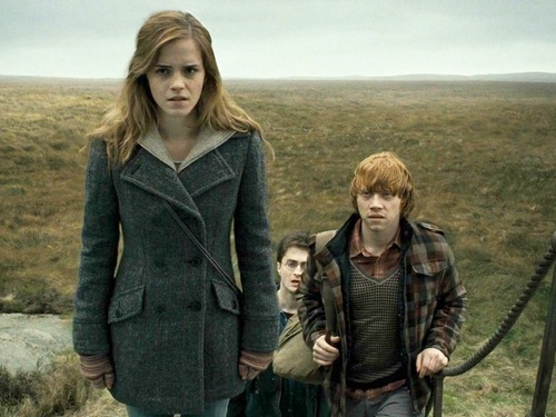  Ron and Hermione karatasi la kupamba ukuta