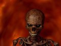 halloween - Skeleton Creeper wallpaper