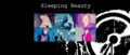 Sleeping Beauty  - disney-princess photo