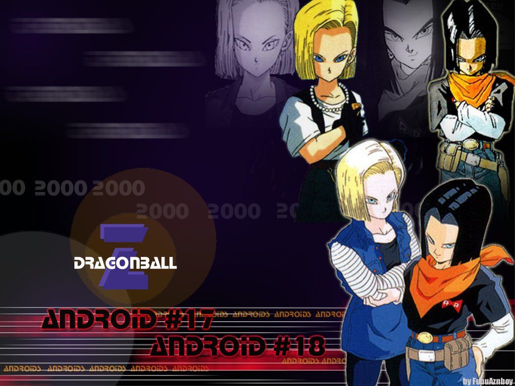 Dragon Ball Z Android 17 and 18