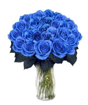  Blue mga rosas