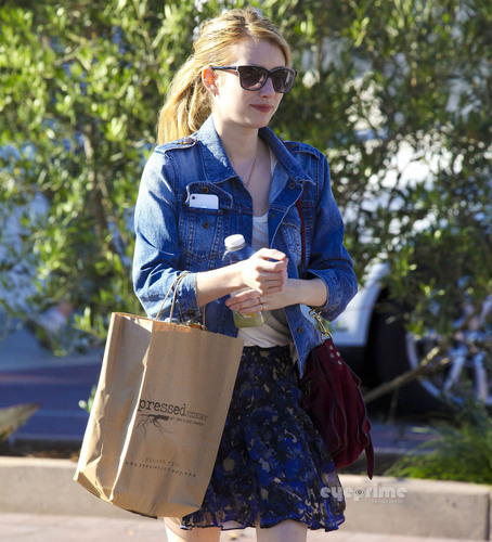 Emma Roberts spotted shopping in Malibu, October 2